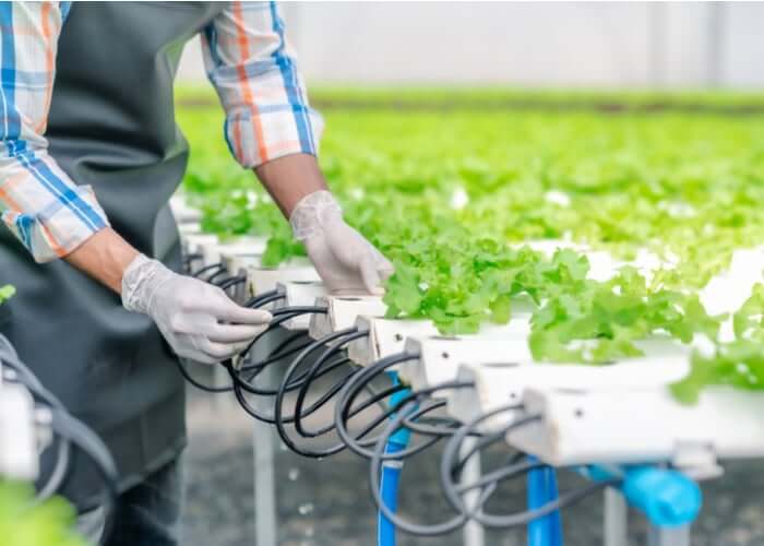 Hydroponics Care and cleaning