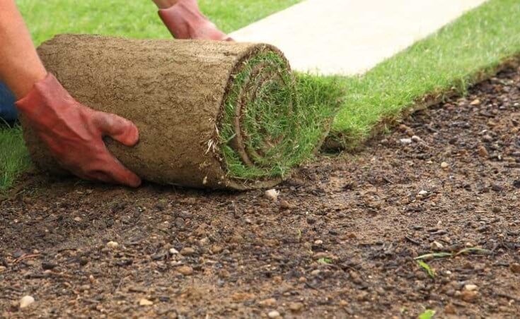 Laying out lawns