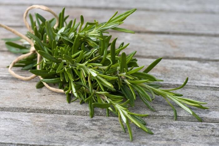 Rosemary
